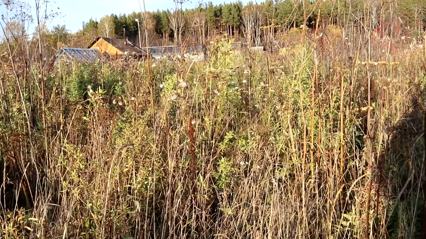 Картинка краткого описания