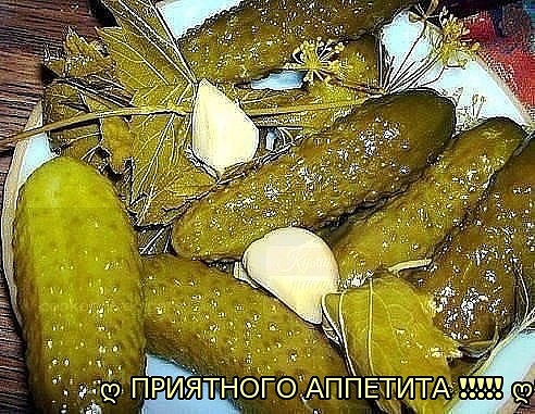 Картинка краткого описания